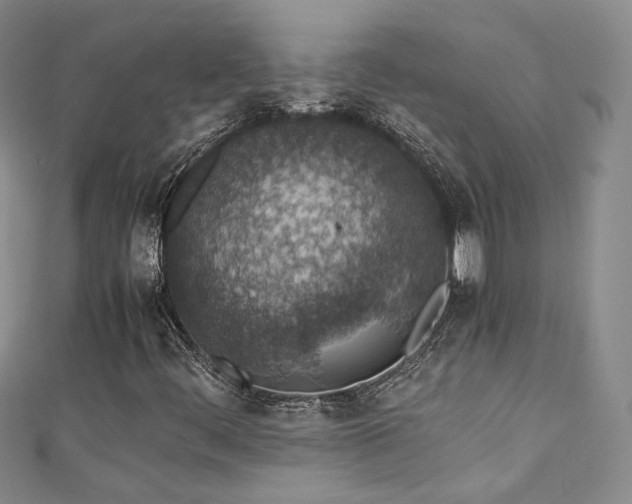 X0000111141444200906301221