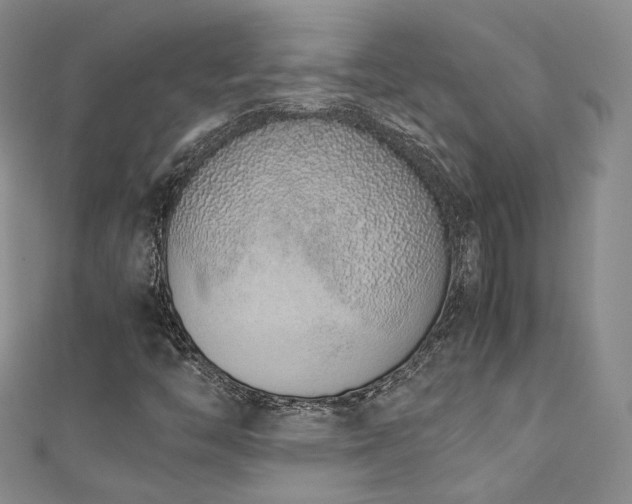 X0000111141446200906301221
