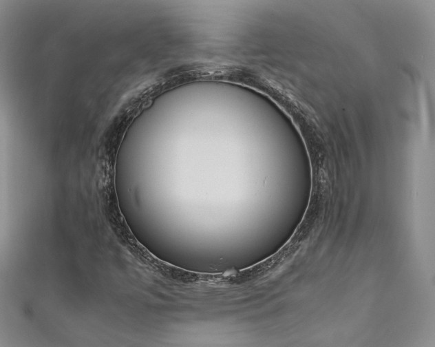X0000111141447200906301221