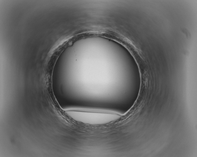 X0000111141448200906301221