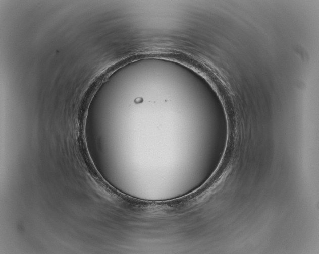 X0000111141449200906301221