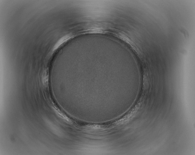 X0000111141450200906301221