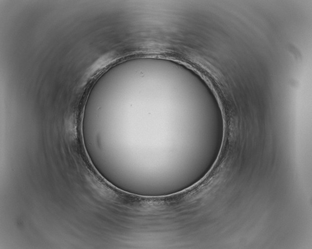 X0000111141451200906301221
