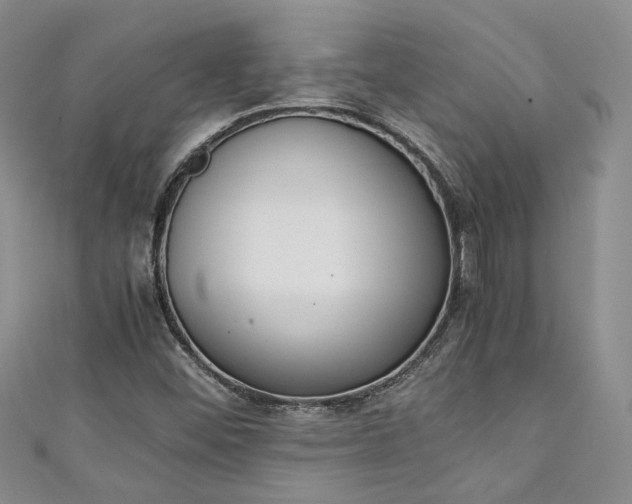 X0000111141452200906301221