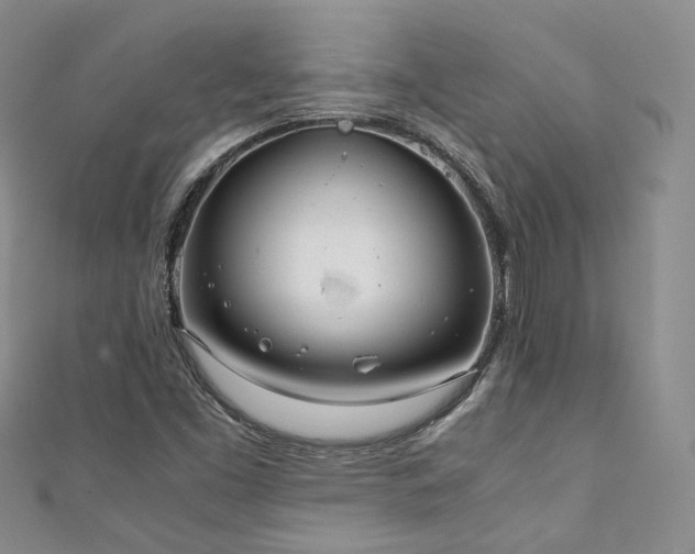 X0000111141453200906301221