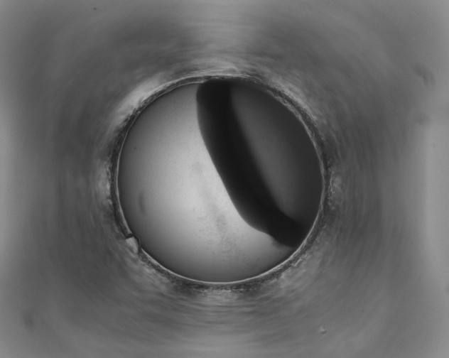 X0000111141455200906301220