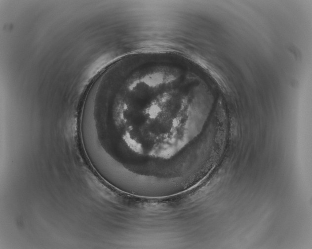 X0000111141459200906301220