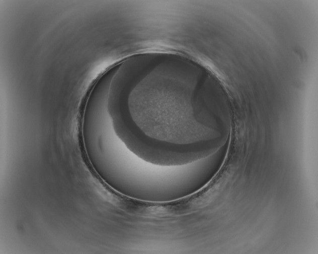 X0000111141463200906301220