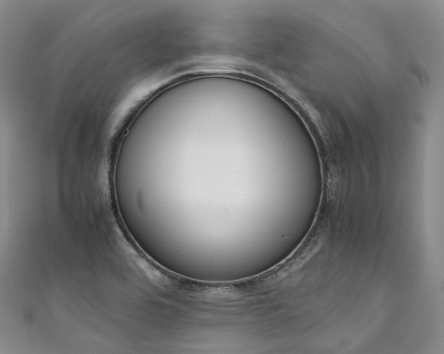 X0000111141464200906301220