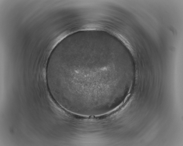 X0000111141465200906301220
