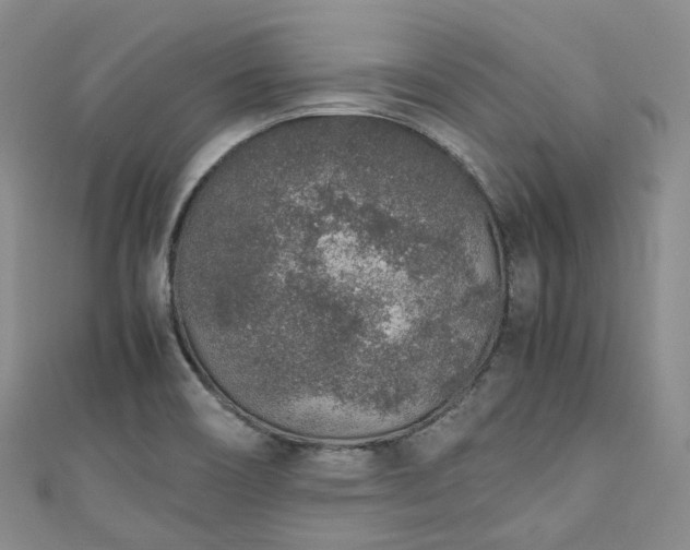 X0000111141466200906301220