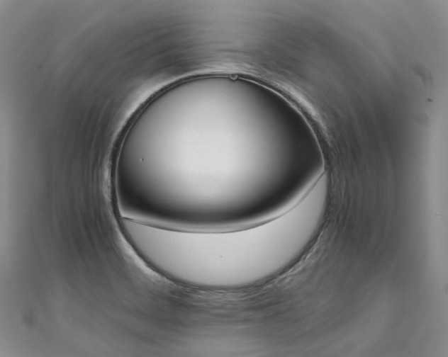 X0000111141468200906301220