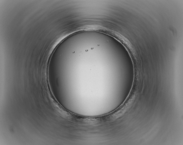 X0000111141473200906301220
