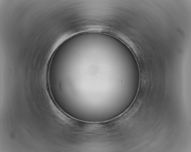X0000111141475200906301220
