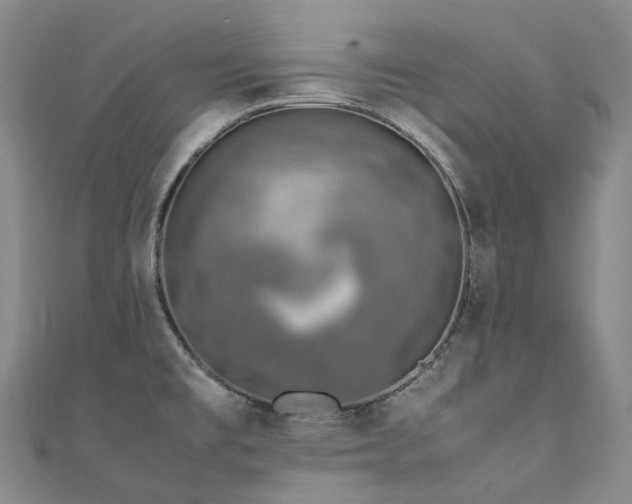 X0000111141477200906301220