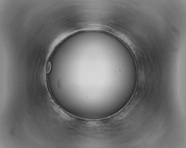X0000111141480200906301220