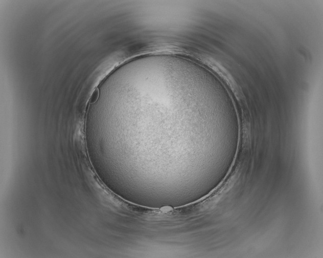 X0000111141481200906301220