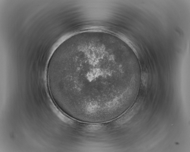 X0000111141482200906301220