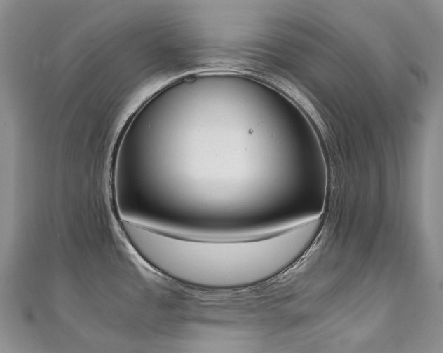 X0000111141485200906301220