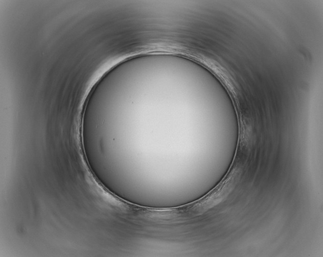 X0000111141486200906301220