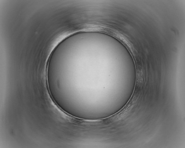 X0000111141487200906301220