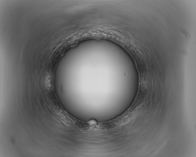 X0000111141490200906301219