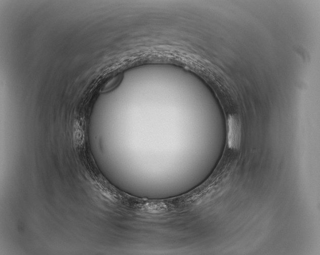 X0000111141491200906301219