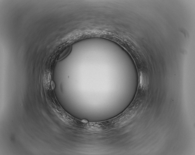 X0000111141492200906301219