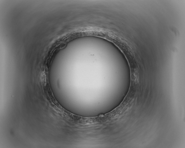 X0000111141493200906301219
