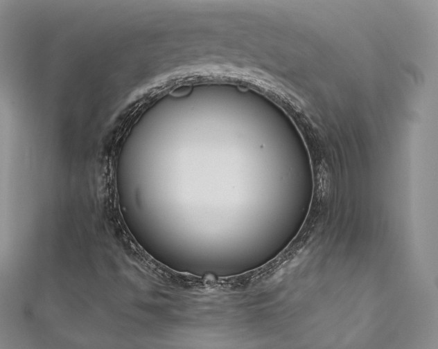 X0000111141494200906301219