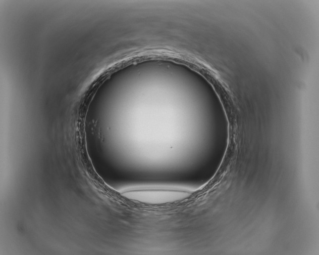 X0000111141496200906301220