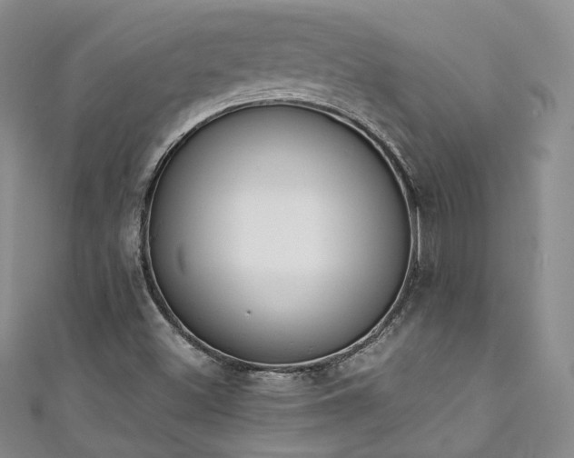 X0000111141500200906301220