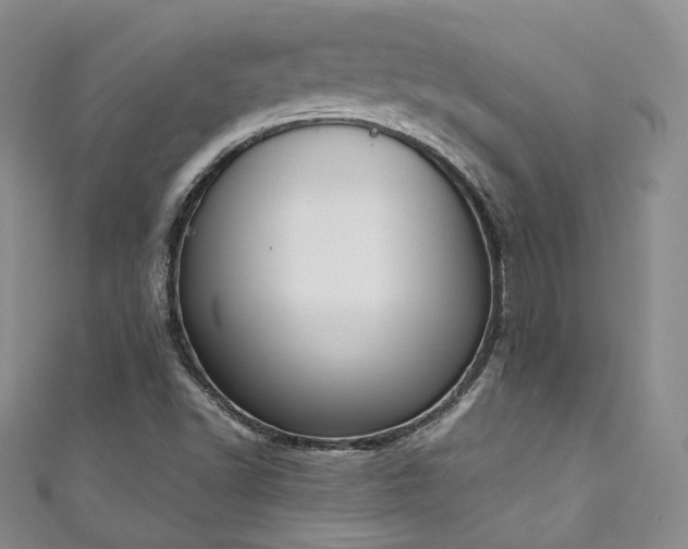 X0000111141502200906301220