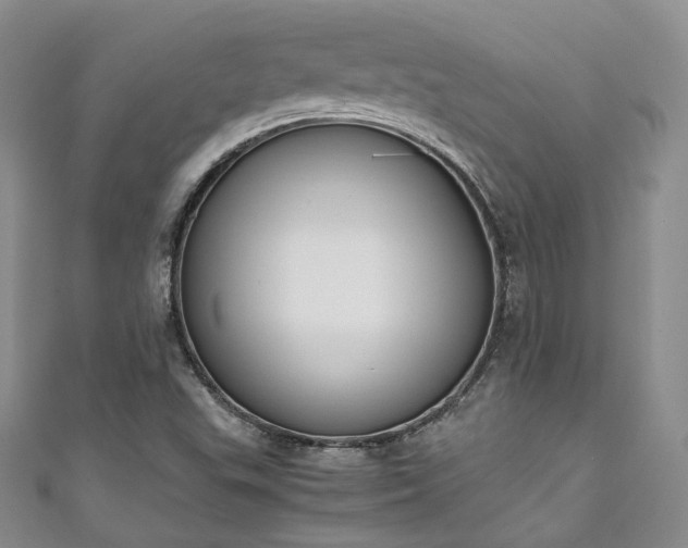 X0000111141503200906301220