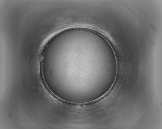 X0000111141504200906301220