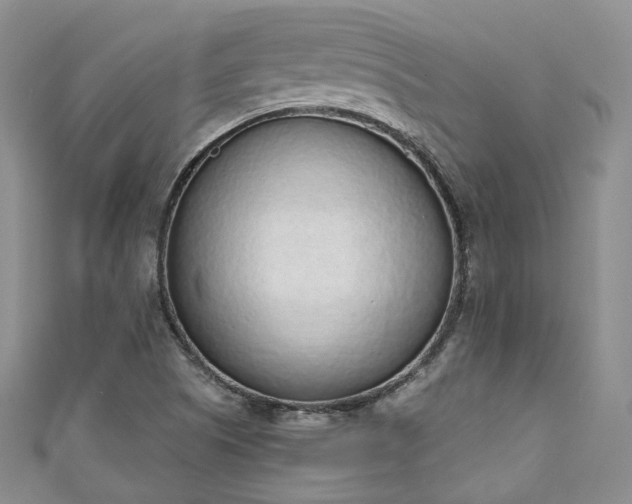 X0000111141505200906301220