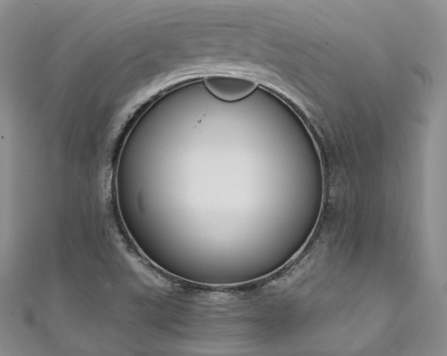 X0000111141507200906301220