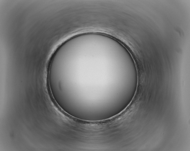 X0000111141508200906301220