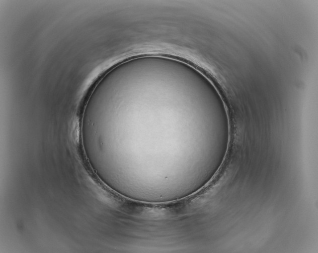 X0000111141509200906301220