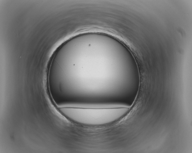 X0000111141518200906301220
