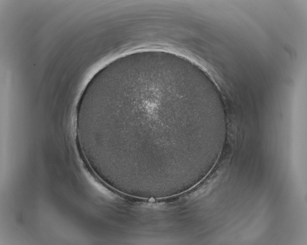 X0000111141519200906301220