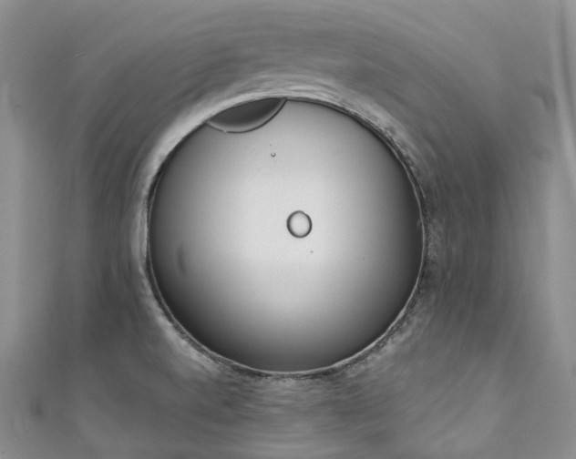 X0000111141520200906301220