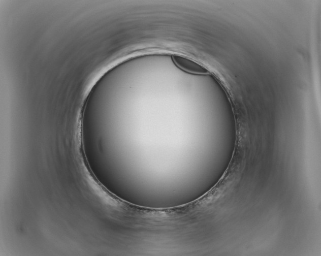 X0000111141524200906301220