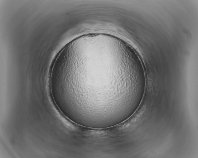 X0000111141525200906301220