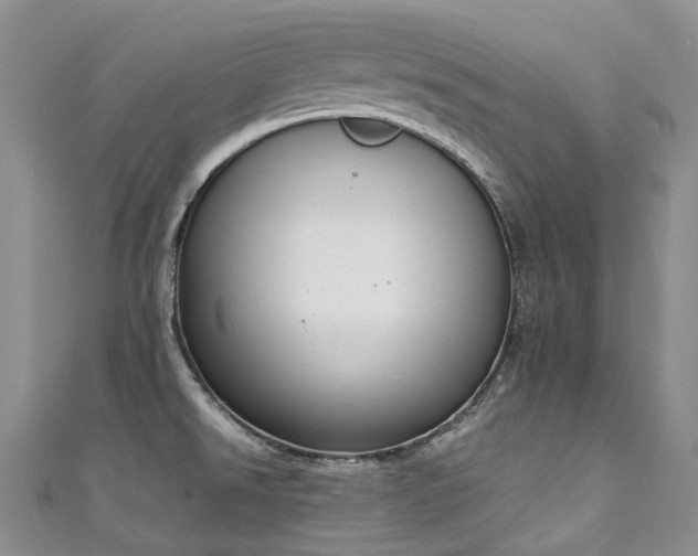 X0000111141526200906301220