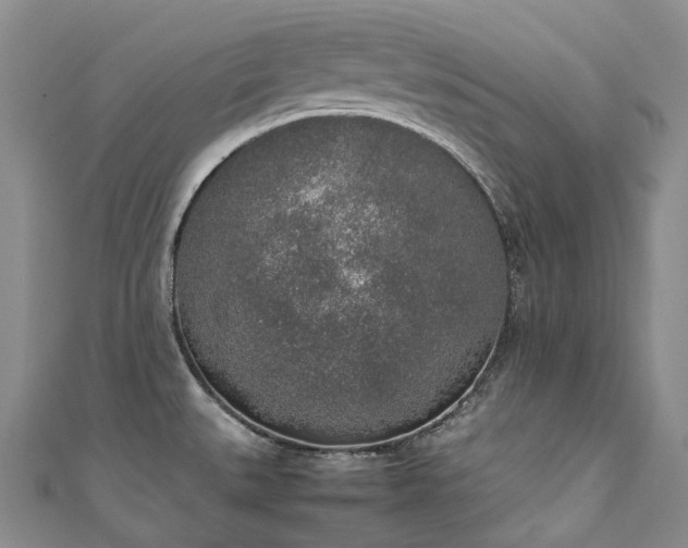 X0000111141527200906301220