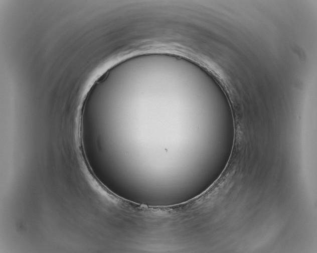 X0000111141528200906301220