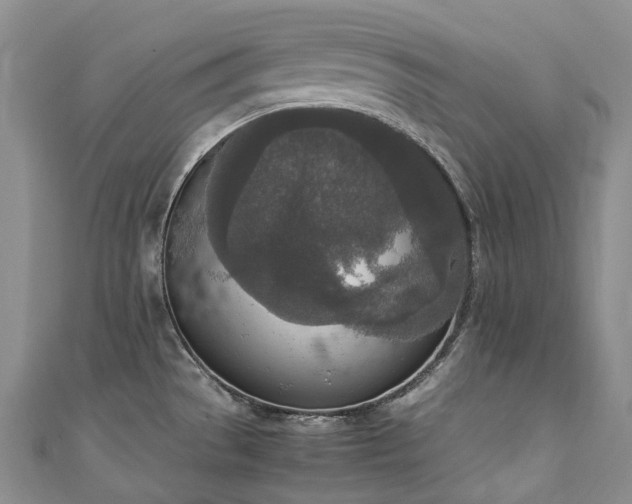 X0000111141529200906301220