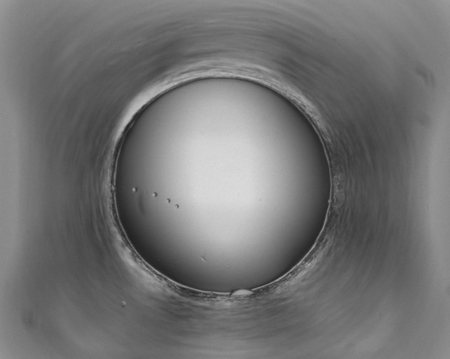 X0000111141530200906301220