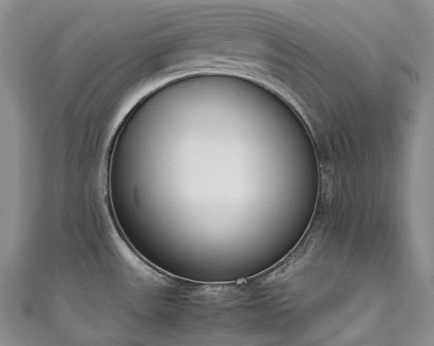 X0000111141531200906301220